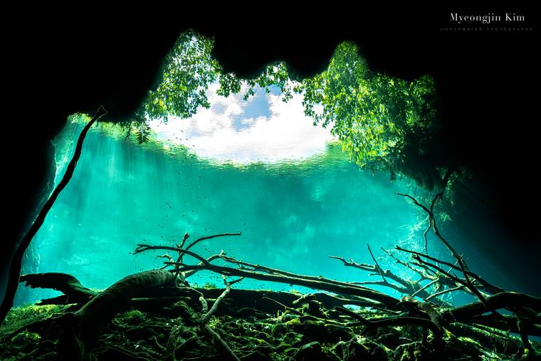 Rumored Paradise